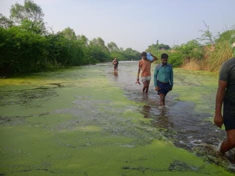 The steps of Gokna Ghat got submerged due to the rising water level of Ganga