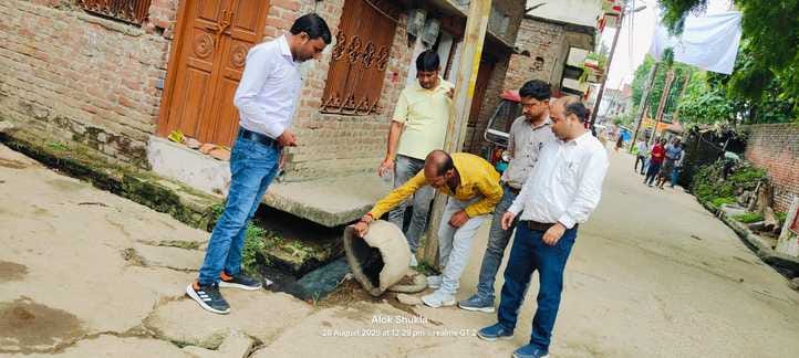 Dengue larvae found growing in 164 houses