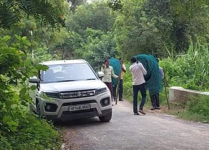 The team kept sitting, the tiger ate the animal tied near the cage