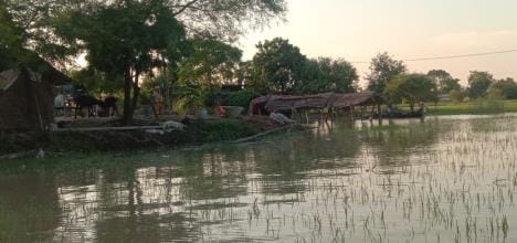 The villages of Byonda Majha are surrounded by flood water