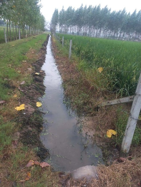 Saved the crop by cleaning the drain himself