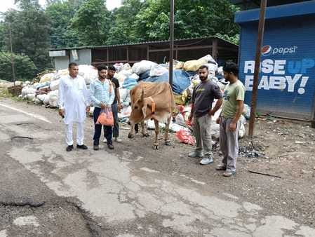 Radium collar belt tied around the neck of stray animals roaming on the road