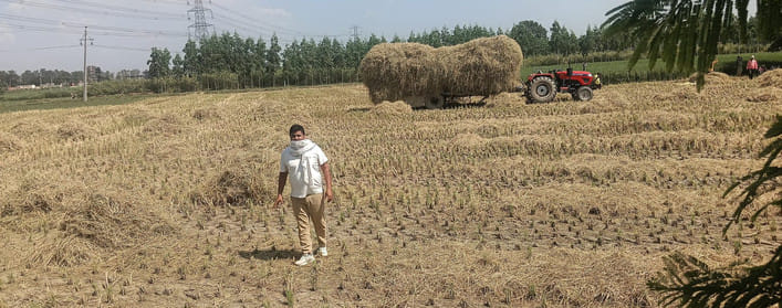 Paddy harvesting has started, fields will be monitored through satellite
