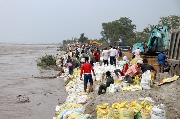 Efforts flowing in the water, hope to save the embankment with the help of hope