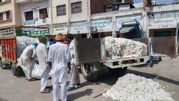 Farmers are not able to recover even the cost of crops due to low prices and yield.