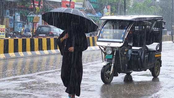 Weather became pleasant due to heavy rains, crops got respite