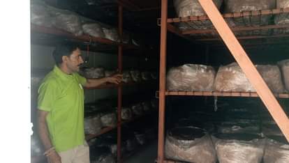 arnia news, mashroom farming news