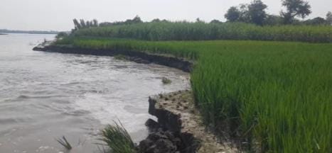 Erosion intensifies in Sakipur, difficulties increase