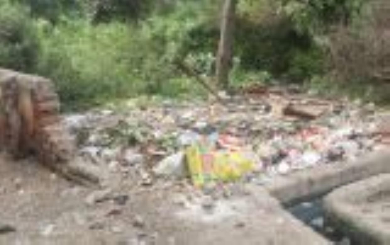 Garbage is being dumped in empty plots, rules are being flouted