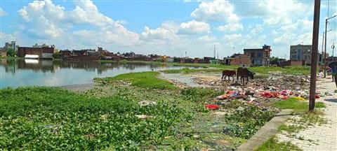 Due to the carelessness of the protectors, the existence of ponds is in danger