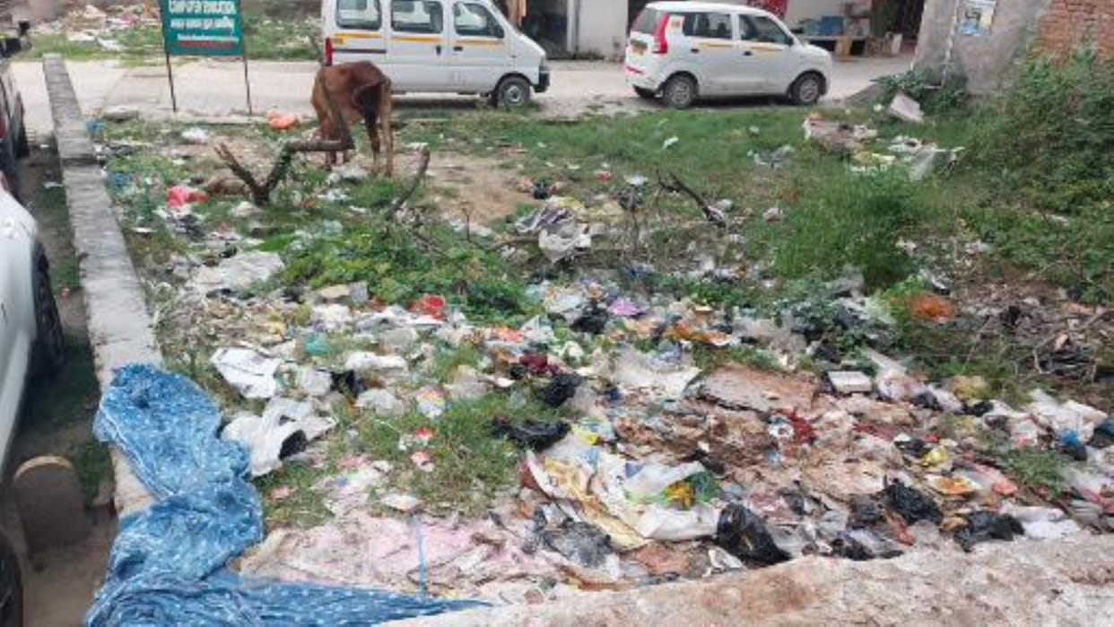 More than a hundred empty plots in the city have become garbage dumps