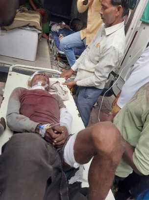 Tiger attacks father and son working in the field, condition critical
