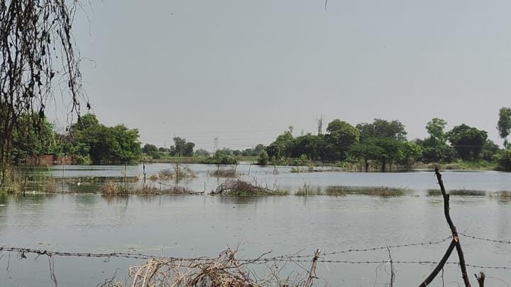 Fogging is not being done in waterlogged areas, mosquito bites are ruining people's health