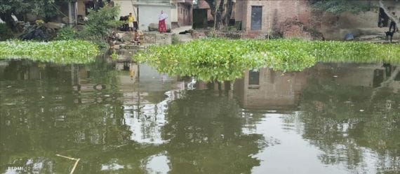 unnao news