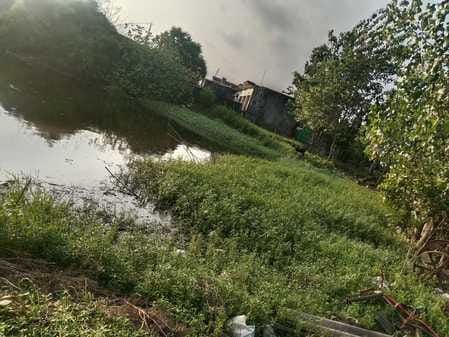 People are troubled due to the pond not being cleaned