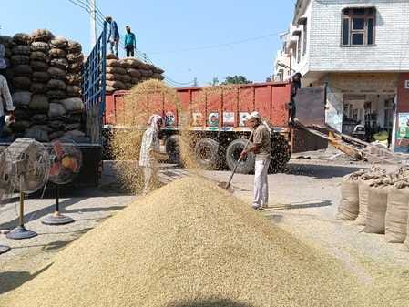 30,000 quintals of paddy arrived in the grain markets, lifting also started
