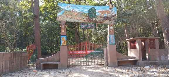 Now 13 employees will protect Kalesar Park