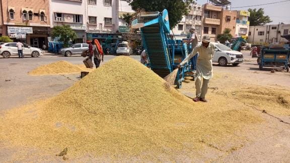 The arrival of paddy in the market has started, with a decrease in yield of five quintals per acre.