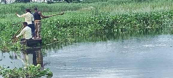 Crocodile dragged the villager into the water