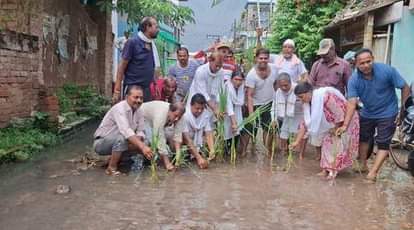 They protested by planting paddy on the road