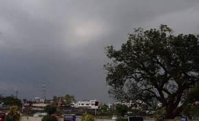 Rajasthan Weather Update: Yellow alert for rain in these districts for next 2 days, know the weather condition