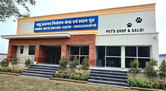 Tender process complete, but delay in starting Animal Birth Control Centre