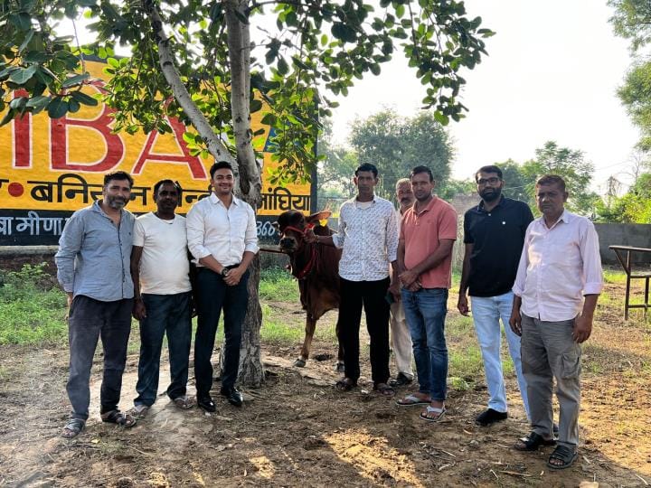 Sahiwal cows shine, Leela's cow gave 18.670 kg milk