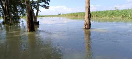 Waiting for the water level to recede to resume life
