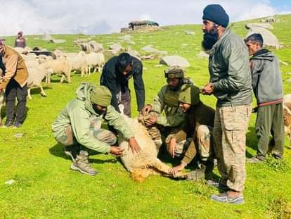 kathua news, animal health camp news