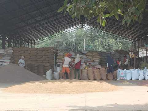Farmers forced to sell their crops at low prices