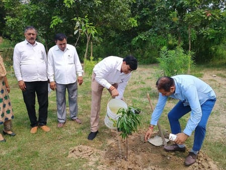SDM planted trees in the Mini Secretariat premises