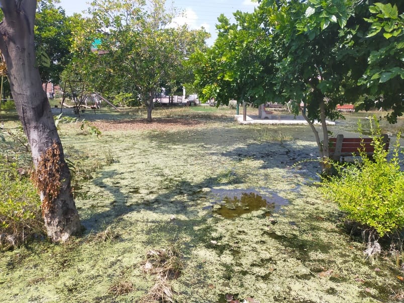 Rainwater filled 14 parks in HUDA Sector, spreading mud.