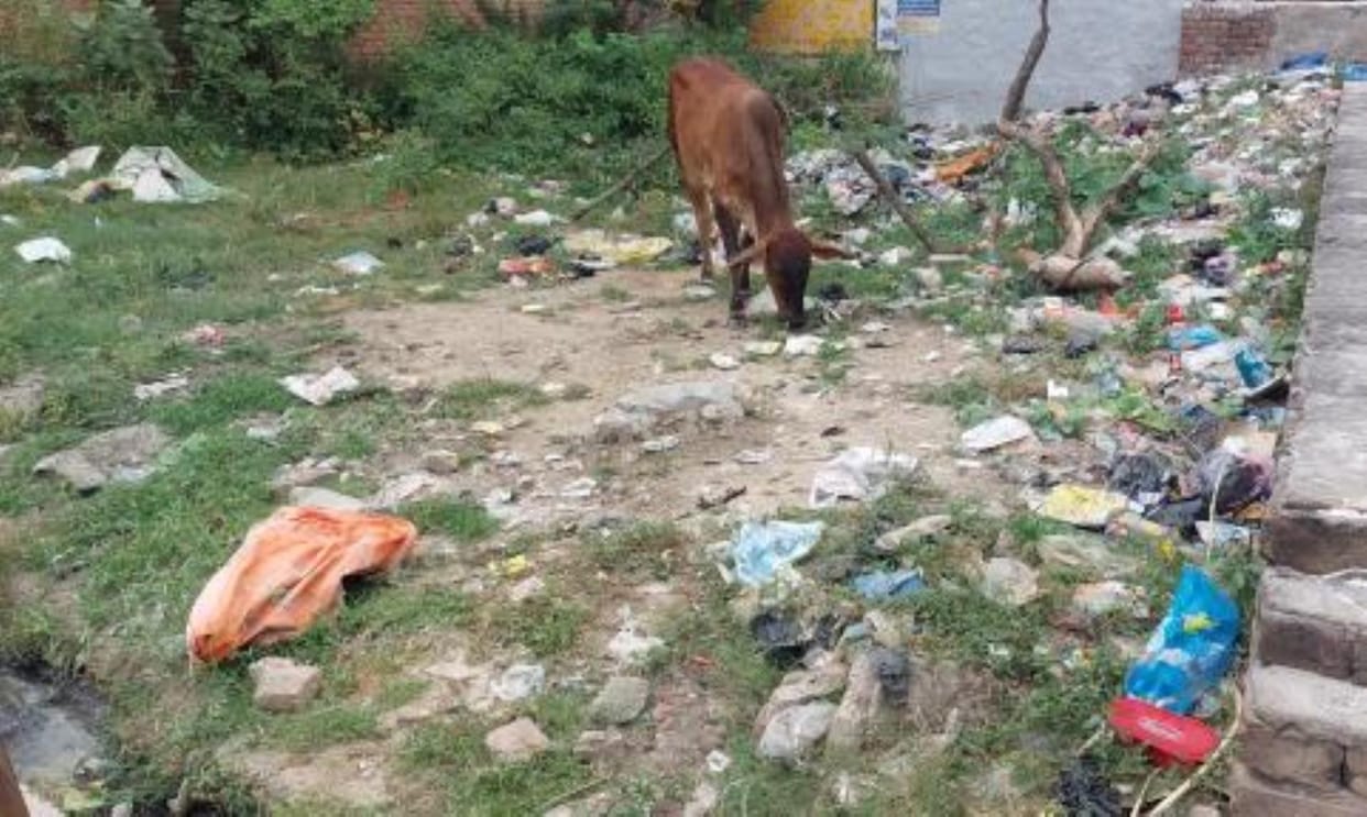 The cleanliness drive has become a joke.