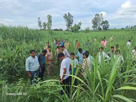 Father and son injured in tiger attack referred to Lucknow