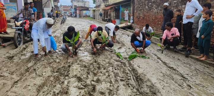Protested by planting banana saplings on the muddy road
