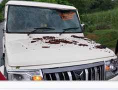Lightning struck tree, Bolero damaged due to falling branch