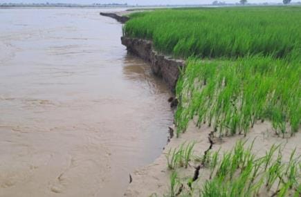 50 bigha farmland in Veerpur submerged in Rapti