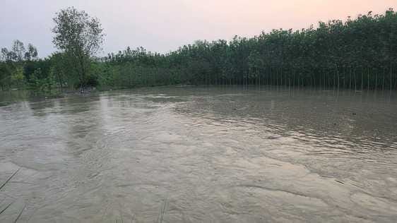 Rising water levels in the Yamuna River caused erosion, and muddy water flooded the fields.