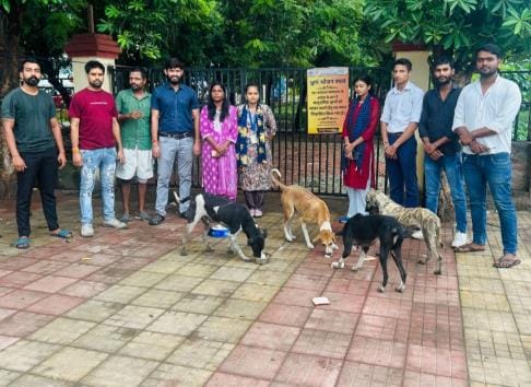 Municipal Corporation started 55 dog feeding centers for stray dogs