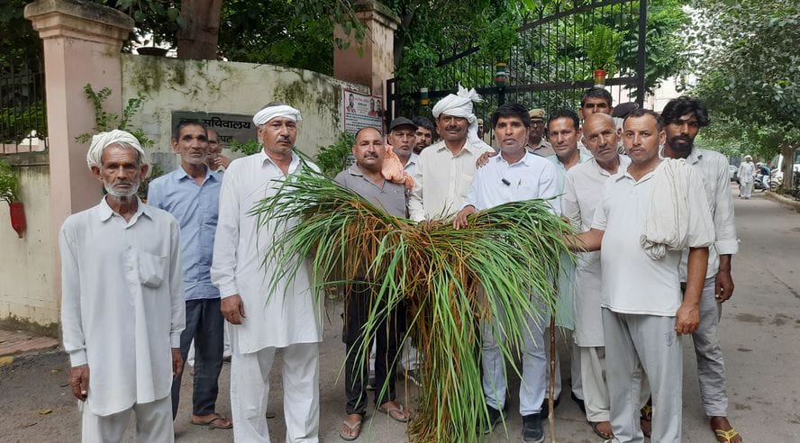 Lack of drainage has caused crops to rot in the fields, angering farmers.