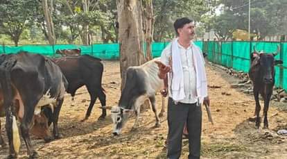 Bodopox vaccine will protect cattle from lumpy