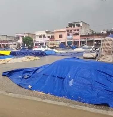 Rain in Babain grain market caused the paddy to get wet