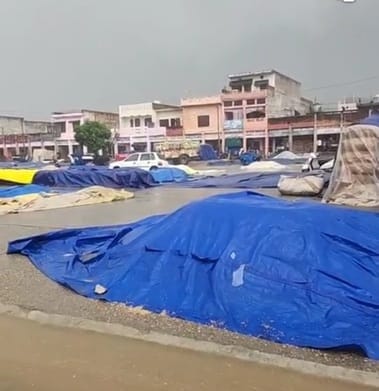 Rain in Babain grain market caused the paddy to get wet