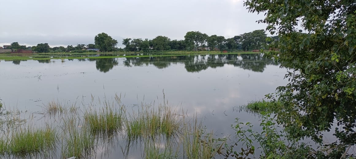 Siddharthnagar News: More than 100 acres of paddy crop submerged in the water of Ghonghi river