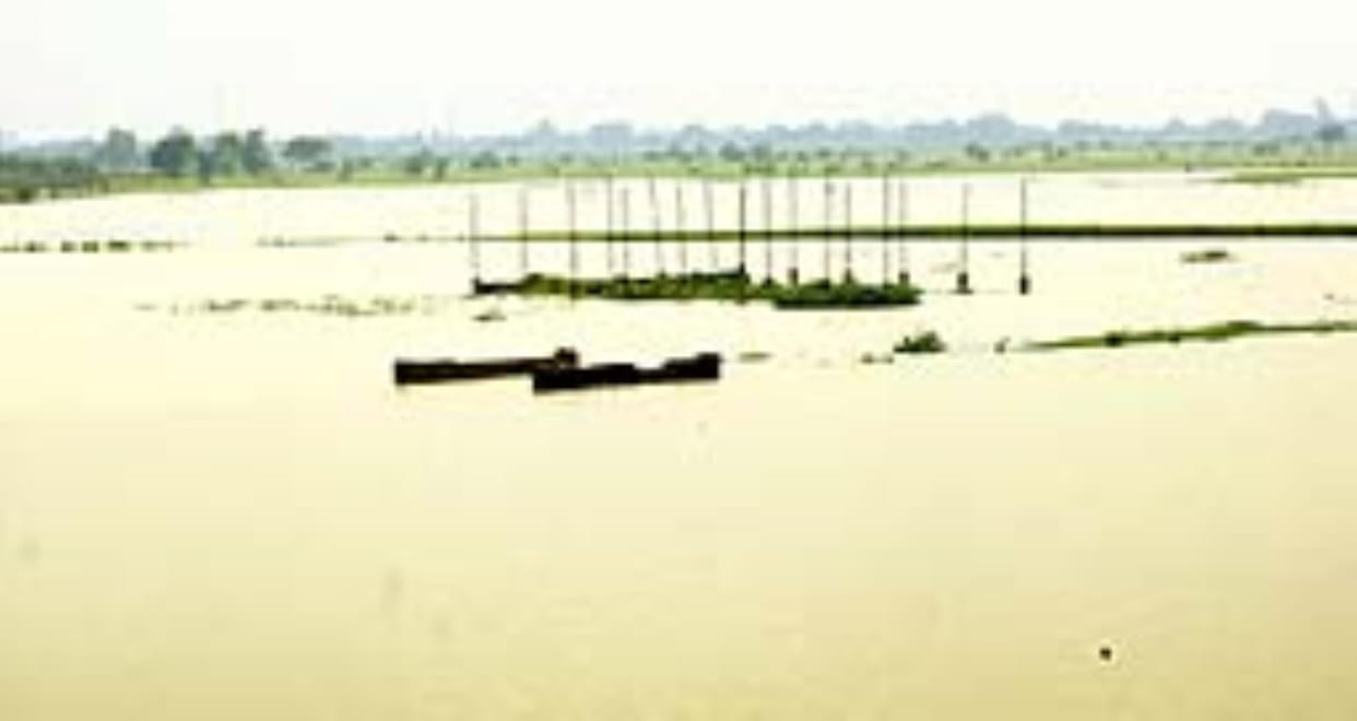 Gorakhpur News: Rohin river 62 cm above the danger mark, Saryu also in spate