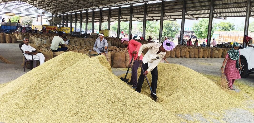 The cost of paddy cultivation has increased fourfold in a decade, but the prices have not increased.