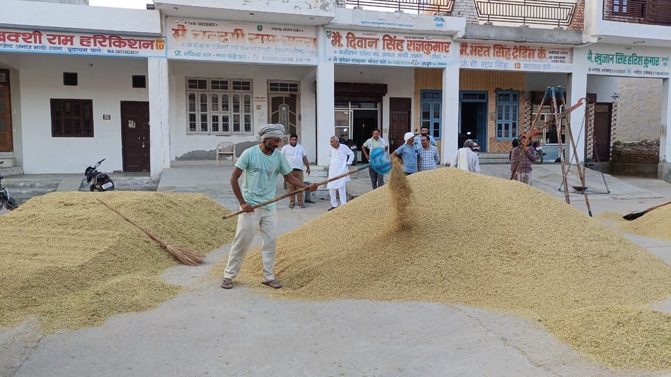 Strong arrangements in the market for crop purchase