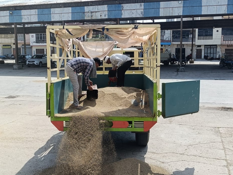 Farmers demanded that the government start purchasing millet.