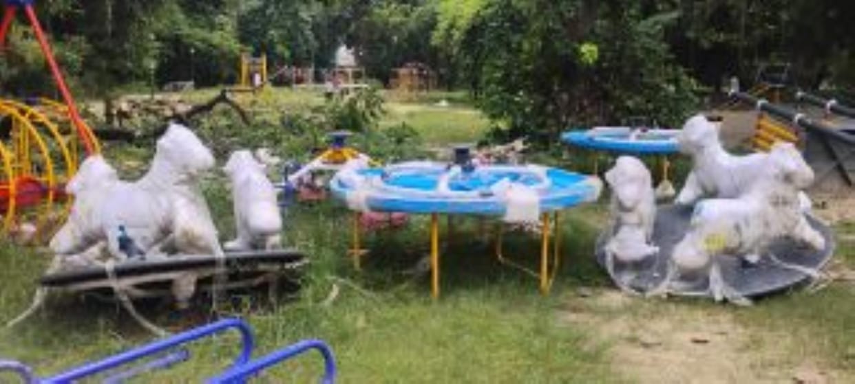 Free entry to children up to 12 years of age from October 2 to 8 at the zoo