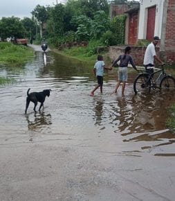 unnao news